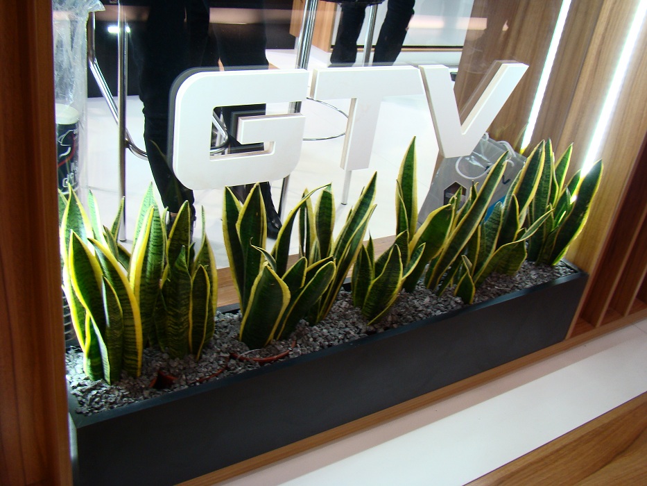GTV